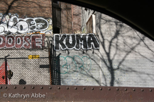 Kuma, NYC